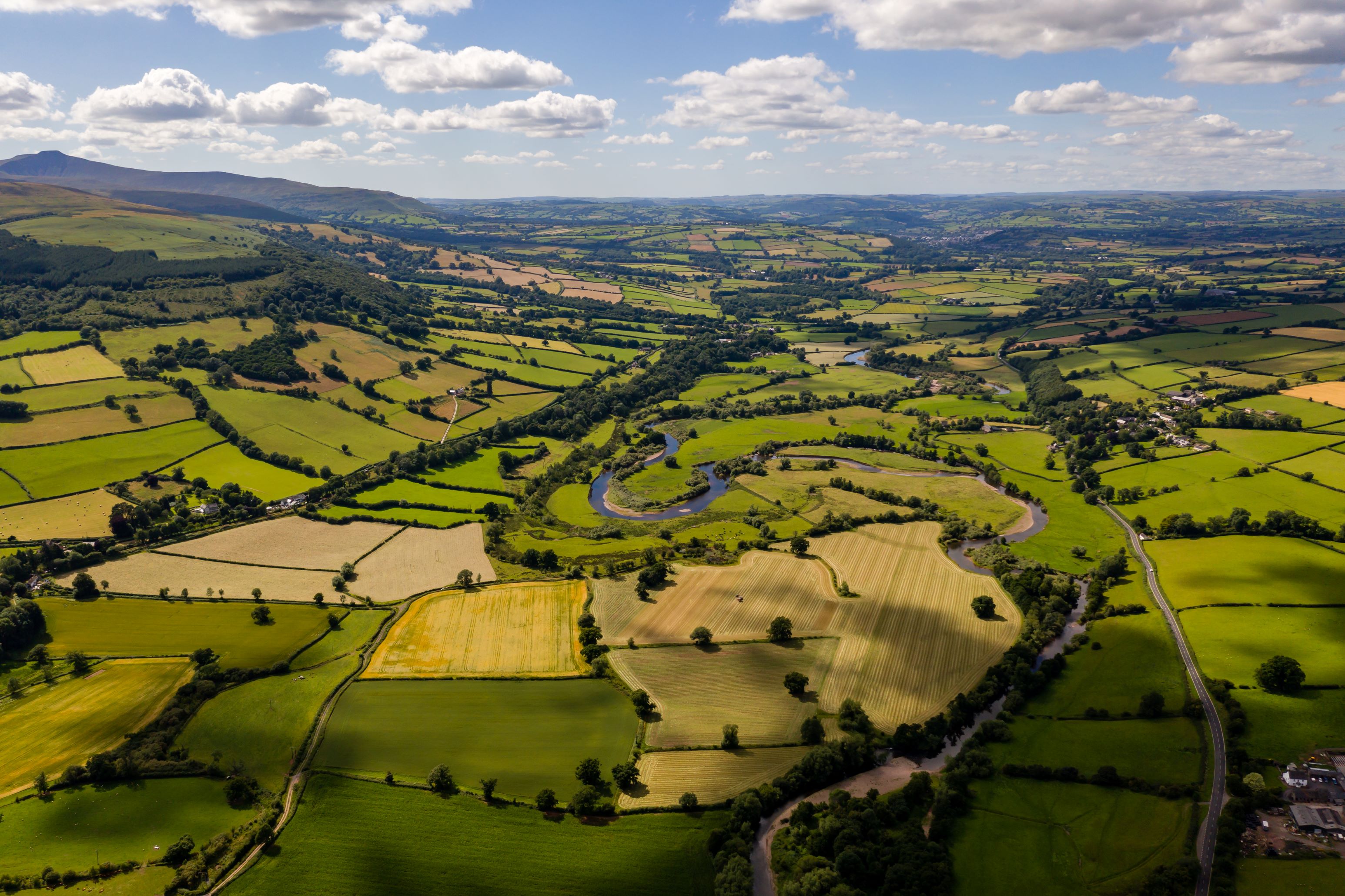 Rural landscape fields