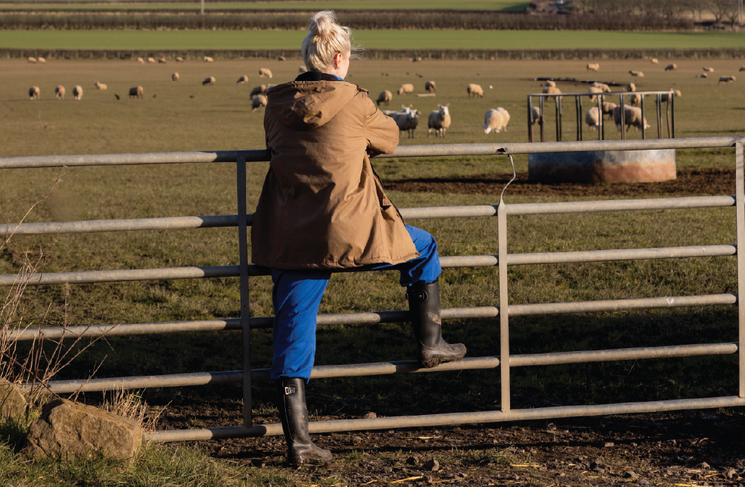 Female Farmer with sheep