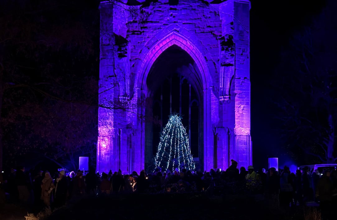 Lights of love image 2025 2
