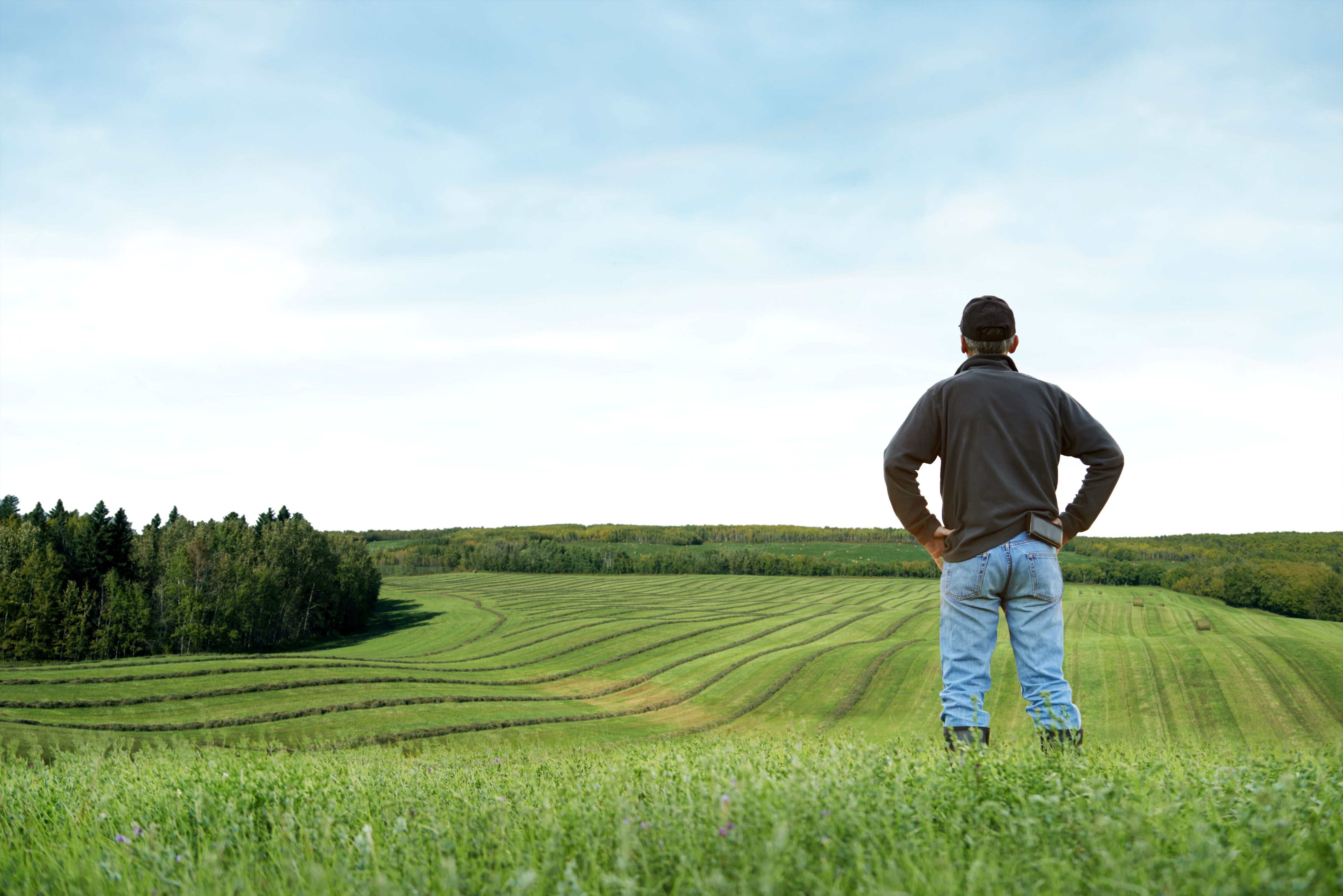 Man looking over fields 002