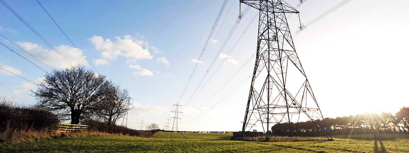 Pylon in field fisher german banner