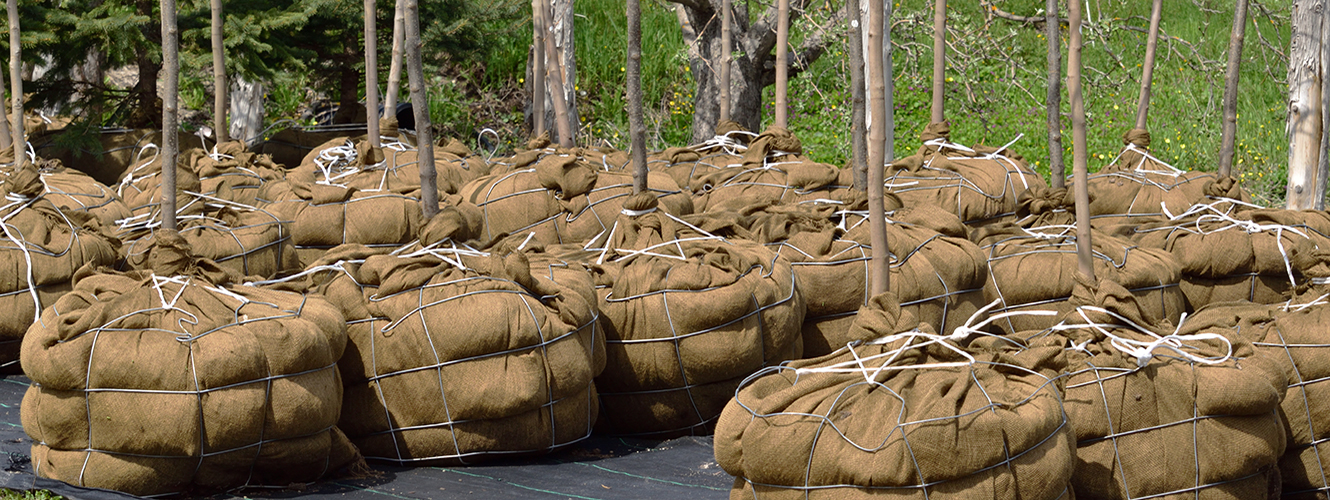 Tree planting bags fisher german banner