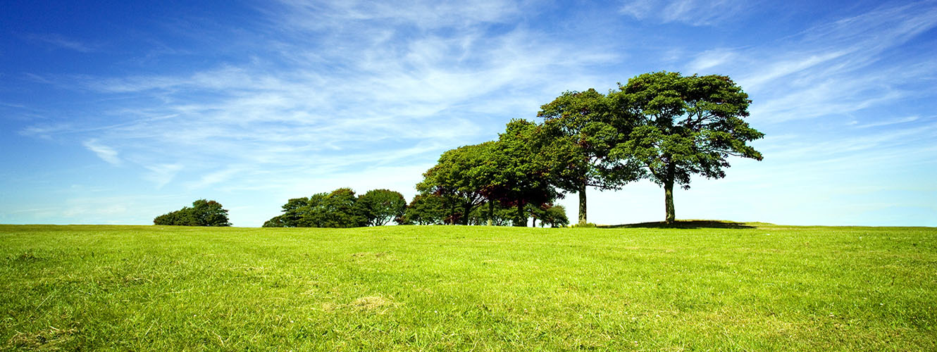 Trees fisher german banner