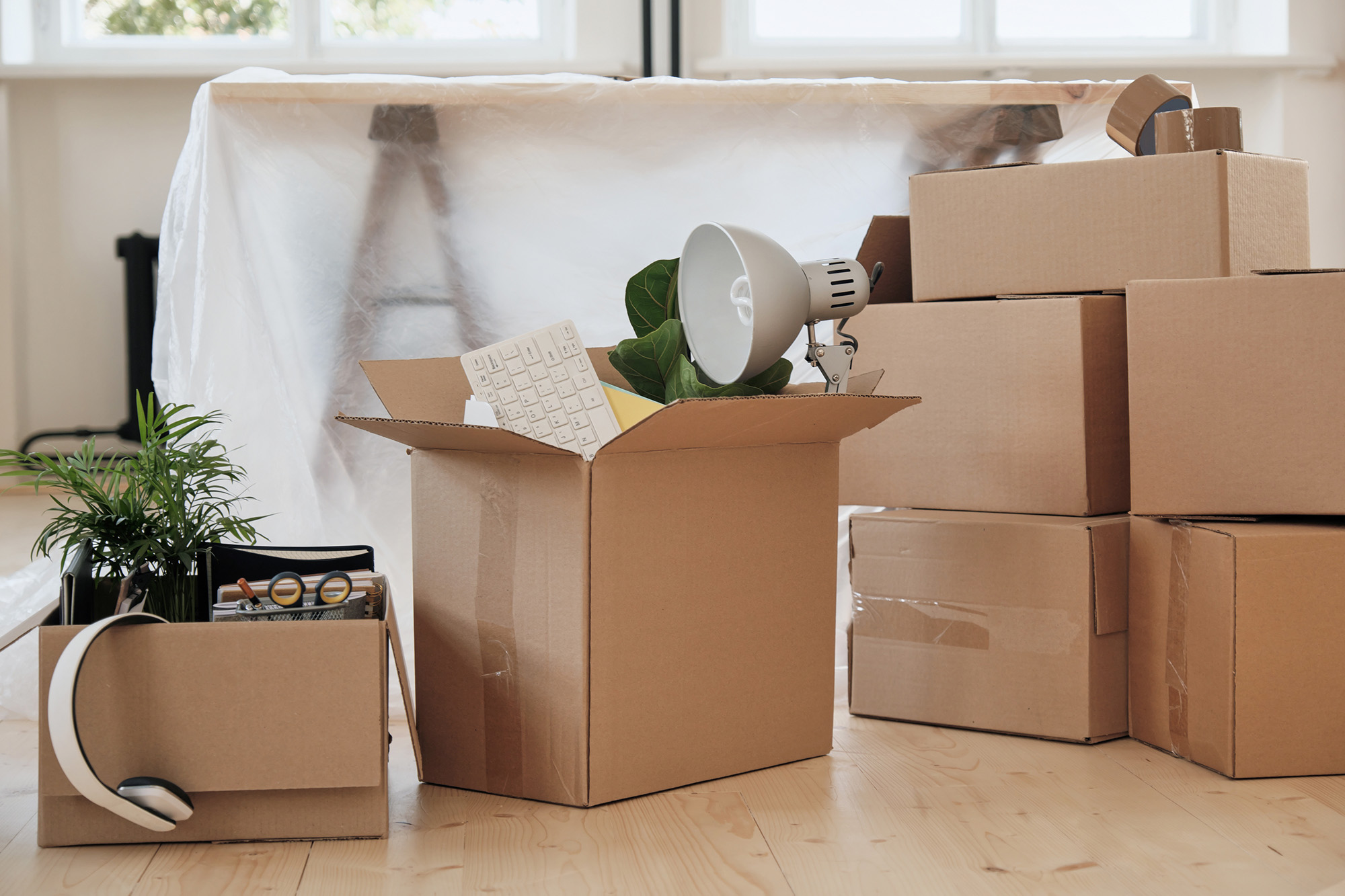 Office Relocation Best Tips and What to Expect