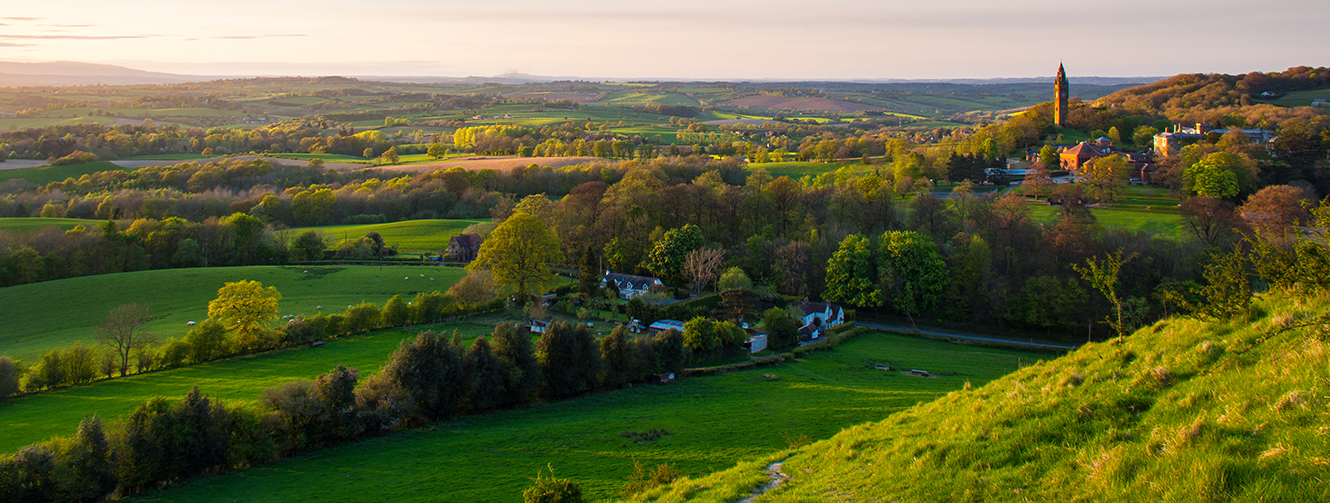 Rural landscape website version