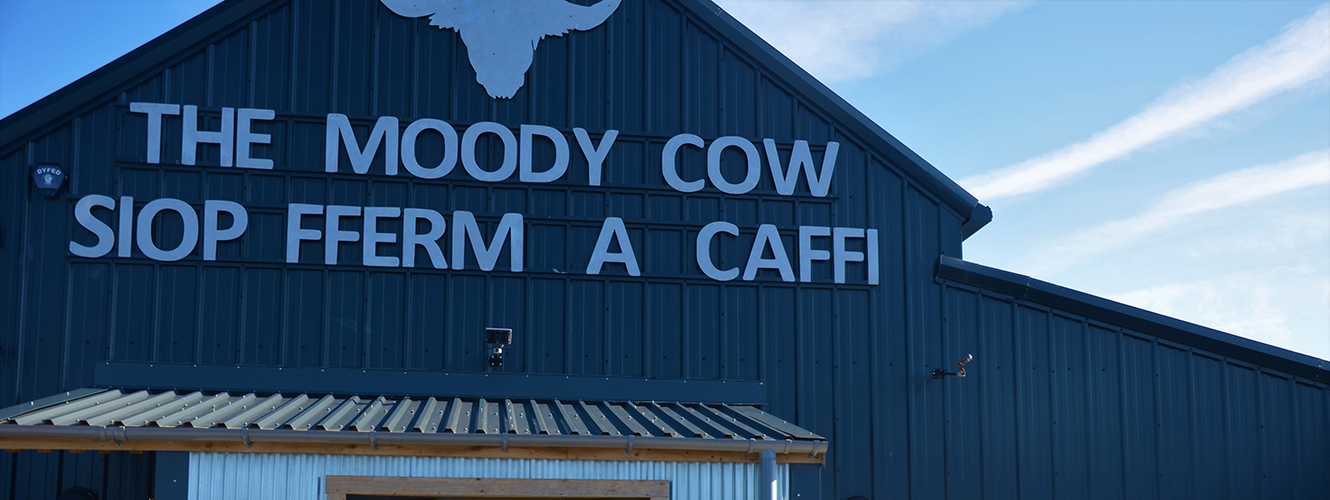 The Moody Cow