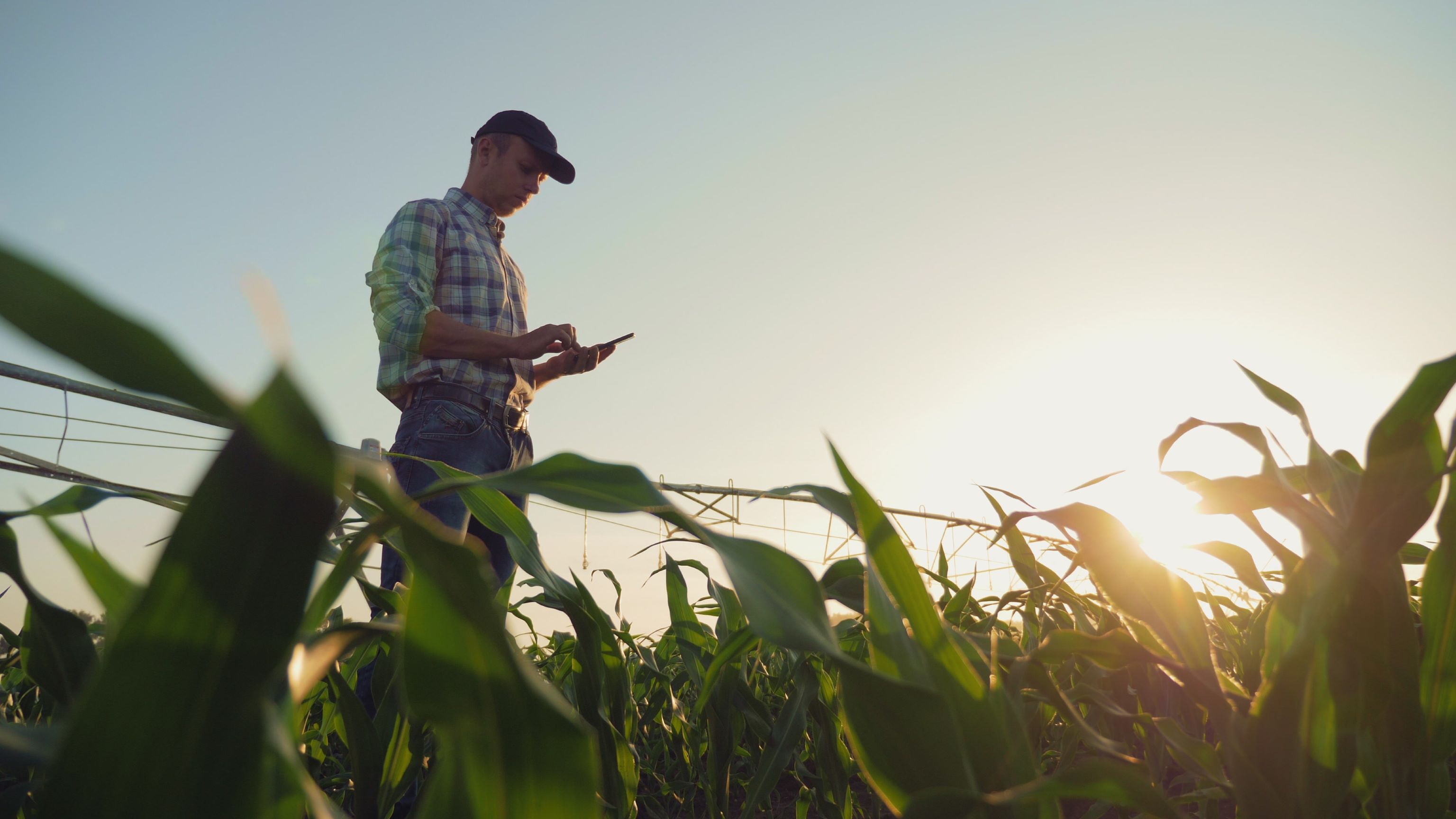 Farmer with ipad in field